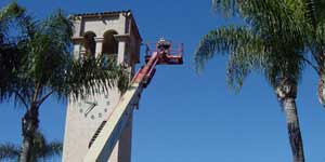 Bee Removal La Mesa CA Difficult bee removal using a 
      manlift.