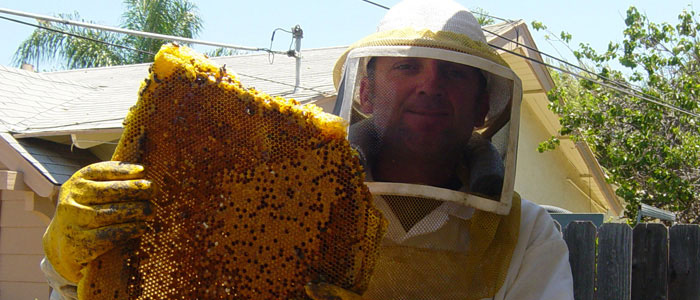 Carlsbad Bee Removal Guys Tech Michael