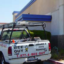 Santee Bee Removal Guys Service Truck